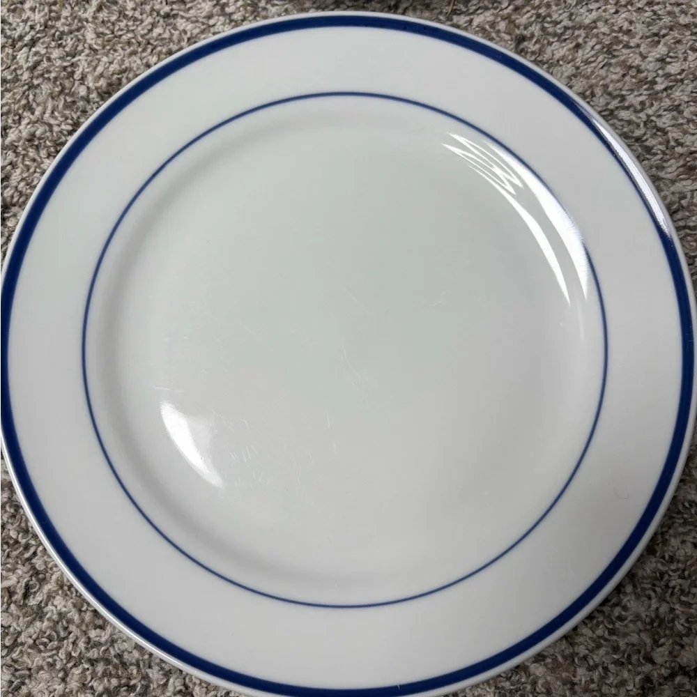 Oneida Maître d dinner plates. 2 plates white with blue circle trim